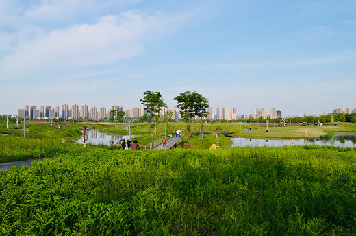 去长沙洋湖湿地公园，来一场心灵旅行（二）