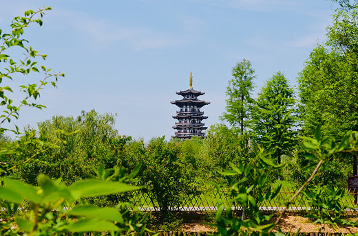 去长沙洋湖湿地公园，来一场心灵旅行（一）