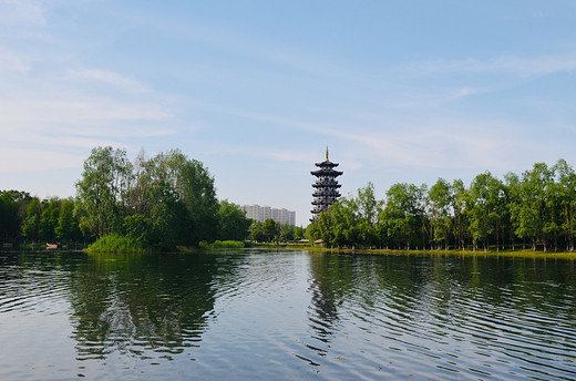 去长沙洋湖湿地公园，来一场心灵旅行（一）