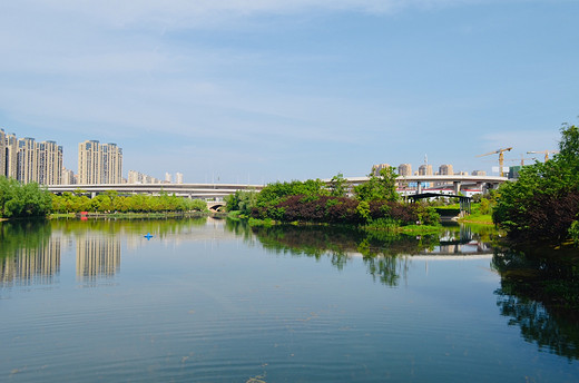 去长沙洋湖湿地公园，来一场心灵旅行（一）