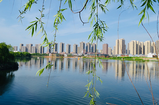 去长沙洋湖湿地公园，来一场心灵旅行（一）