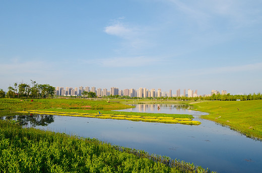 去长沙洋湖湿地公园，来一场心灵旅行（二）