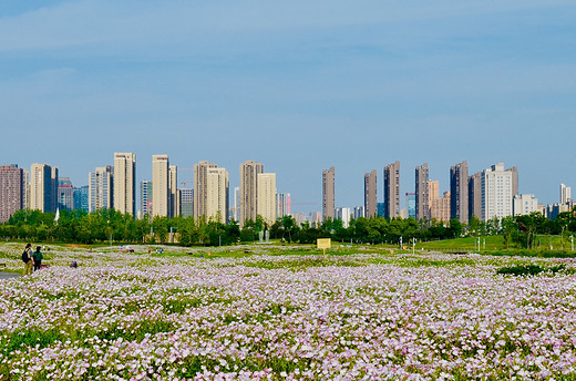 去长沙洋湖湿地公园，来一场心灵旅行（二）