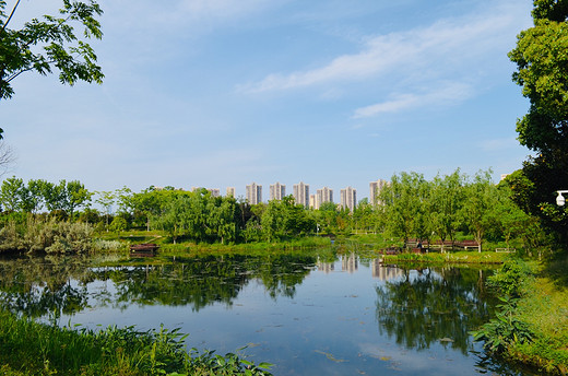 去长沙洋湖湿地公园，来一场心灵旅行（二）