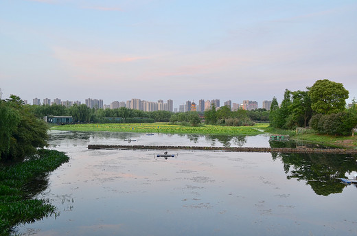 去长沙洋湖湿地公园，来一场心灵旅行（一）