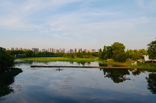 去长沙洋湖湿地公园，来一场心灵旅行（二）