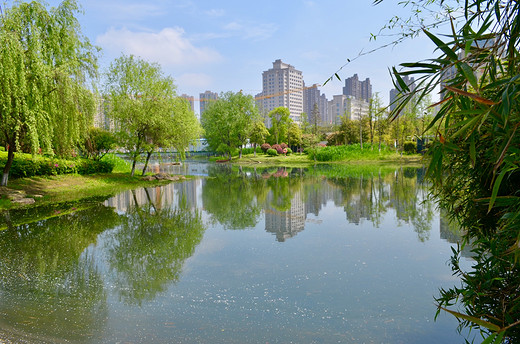 去长沙洋湖湿地公园，来一场心灵旅行（二）