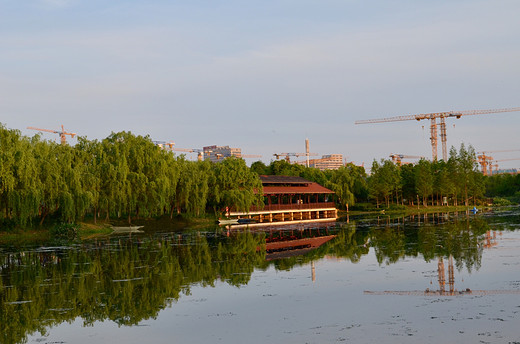 去长沙洋湖湿地公园，来一场心灵旅行（一）