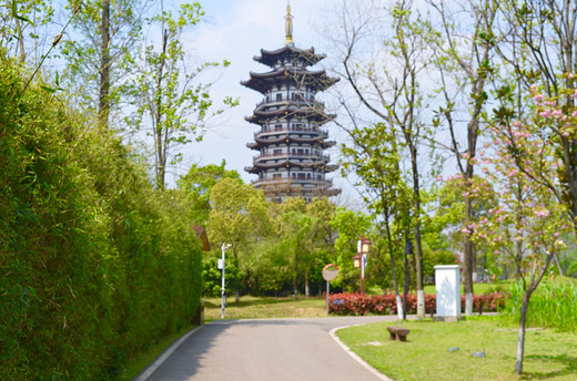 去长沙洋湖湿地公园，来一场心灵旅行（二）