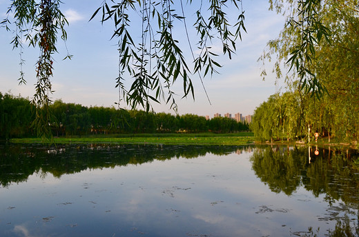 去长沙洋湖湿地公园，来一场心灵旅行（二）