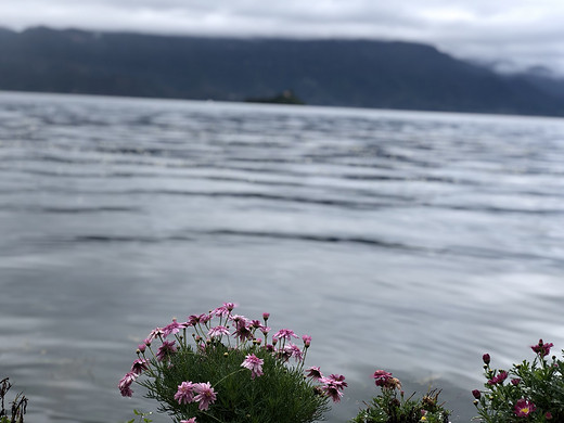 云南七日自由行-香格里拉,泸沽湖,蓝月谷,玉龙雪山,束河