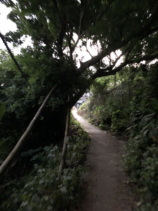 三门岛沙滩露营记