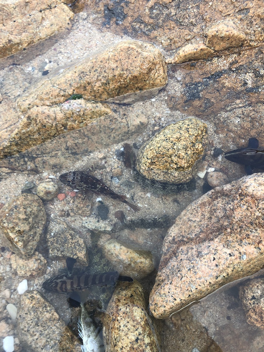 三门岛沙滩露营记