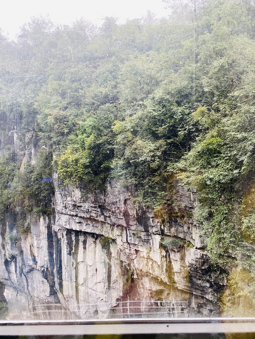 爱这里的一切-洪崖洞,仙女山,武隆,磁器口,重庆