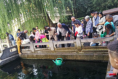山东之旅,行程,行程攻略,旅游行程,青驿