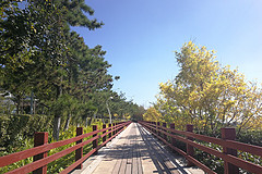 山东之旅,行程,行程攻略,旅游行程,青驿