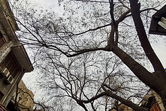 西安印象半日游,行程,行程攻略,旅游行程,青驿