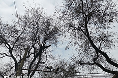 西安印象半日游,行程,行程攻略,旅游行程,青驿